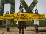 Како да се изгради кружна економија