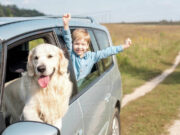 Денес е Меѓународен ден на кучето : Откриваме осум причини зошто е добро да го имате ова домашно милениче