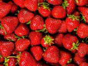 Еве кои овошја може да ги користите во секоја диета бидејќи содржат најмалку фруктоза