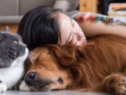 Каква перцепција за времето имаат животните и како го доживуваат