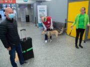 Дресирани кучиња ќе откриваат КОВИД19 позитивни патници на аеродромите