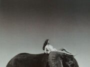 Без оглед колку удобно да седите, ногата ќе ви се вкочани, морате да ја промените позицијата.