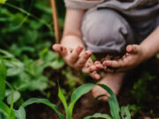 ДЕТСКИ ГРАДИНКИ ВО ФИНСКА НАПРАВИЈА „ШУМСКИ ПОД“ И ГО ПРОМЕНИЈА ИМУНИОТ СИСТЕМ НА ДЕЦАТА