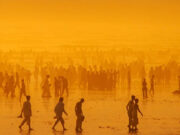 КЛИМАТСКИТЕ ПРОМЕНИ ОДГОВОРНИ ЗА ИСТРЕБУВАЊЕ НА ДРЕВНИТЕ ВИДОВИ НА ЧОВЕК