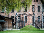 Приказна за девојчето кое го преживеа Менгеле и им прости на нацистите