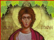 Православните верници денеска го прославуваат св.Трифун