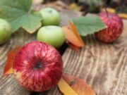 Не претерувајте со јадење јаболка, еве кои се несаканите ефекти: