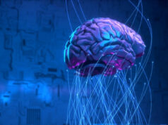 Создадена мапа на мозок која ја покажува комуникацијата помеѓу невроните и мозочните клетки во мозокот