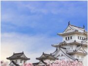 Јапонија е позната по ова дрво, а еве на што се е симбол