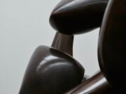 Органски и аноргански структурни варијации во просторот