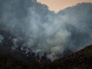 Во јули годинава се измерени највисоките температури откако се мери температурата вооптшо
