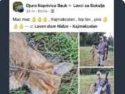 Шокантна фотографија: Ловел дива мачка, се фотографирал, па објавил на фејсбук!
