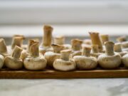 Жените треба да конзумираат печурки секој ден, еве зошто: