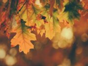 До петок стабилно време, викендов промена