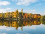 Сонце ќе има се помалку: Совети како да се преживее есента?