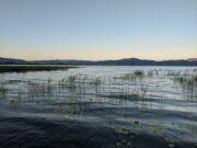 Репортажа за Струга: Природни богатства, демографија, културни богатства (ВИДЕО)