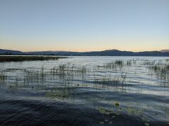 Репортажа за Струга: Природни богатства, демографија, културни богатства (ВИДЕО)