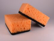 Еве зошто треба да ставите сунгер во фрижидер