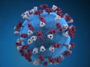 ВИ ќе се користи во превенција на еволуција на вирусите и создавање нови патогени видови