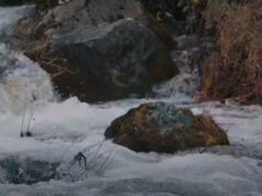 Репортажа за Вевчани: Општина на историјата, сатирата, традицијата и недопрената природа