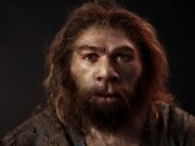 Од што умрел најпознатиот неандрталец „Старецот од Ла Шапел“?