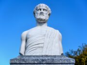 Аристотеловата теорија за хибернација: Зошто некои ластовички не мигрираат пред зимата?