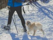 Едноставен трик како да ги заштитите вашите стапала од зимското студенило