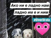 Кампања за зголемување на грижата за бездомните животни „Отвори врата“