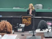 Арсовска: Скопје може и без приватни превозници