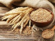 Дали знаете зошто протеинот лактин е важна компонента во исхраната?