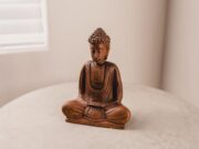 Буда открива начин како да ја предвидиме сопствената иднина