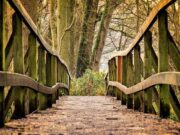 Најопасните мостови во светот