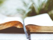 Кои книги книжарите ги препорачуваат „за на плажа“ и „одмор“?