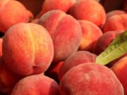 Зошто токму праската е кралицата на летното овошје?