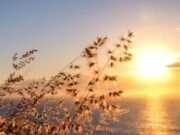 Жените потешко ги поднесуваат летните жештини од мажите