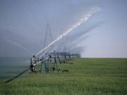 Вработените во А.Д. Водостопанство веќе четири месеци не земале плата и немаат платено здравствено осигурување