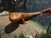 Пронајдени фосилни остатоци од риба која била слична на човекот