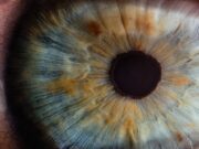 Луѓето со светли очи имаат помалку мелатонин во телото, но и помалку страдаат од сезонска депресија