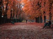 Продолжува сончевото и топло време