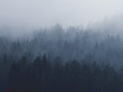 Денеска возете внимателно, можна е магла и тоа на овие предели