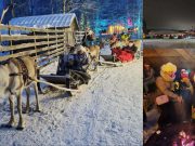 Од академијата до пат кон Лапонија: Помеѓу конфликтите на светот и мирот во семејството говори д-р Нена Неновска Ѓорѓиевска