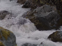 Како пагански карневал го „преживеа“ христијанството: Вевчанскиот карневал е еден од најуникатните културни појави на Балканот