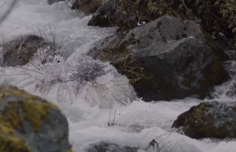 Како пагански карневал го „преживеа“ христијанството: Вевчанскиот карневал е еден од најуникатните културни појави на Балканот