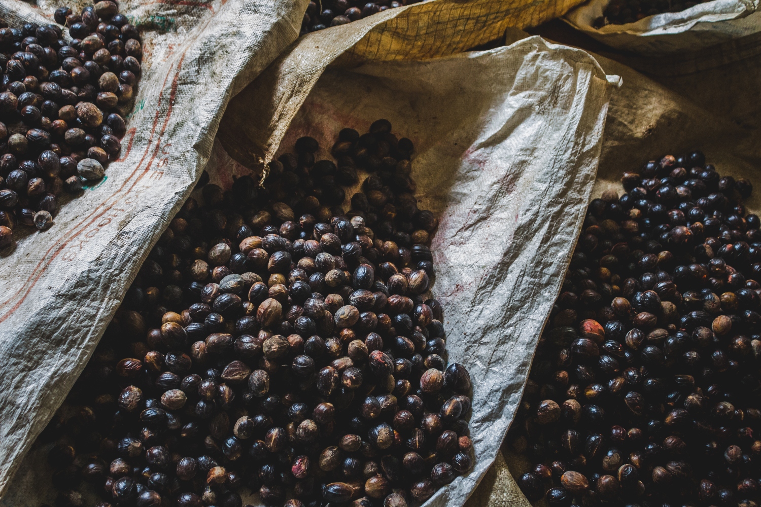 Кафето ќе биде новото „црно злато“: Дефицитот на производството ќе ги качи цените