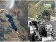 Букнуваат нови екосистеми во Чернобил